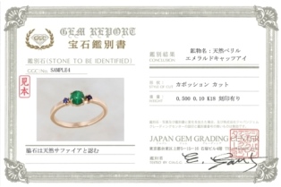 ミニミニ鑑別書